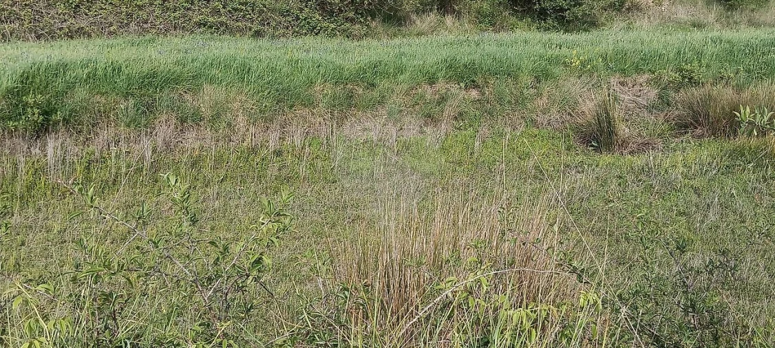 Terreno para Venda em São João das Lampas e Terrugem Foto 8