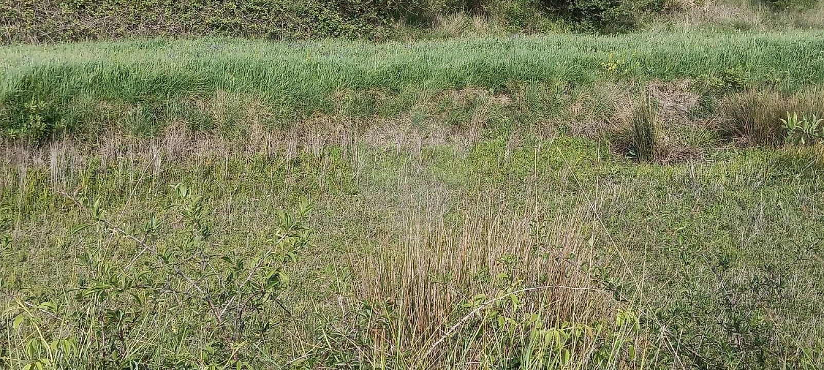 Terreno para Venda em São João das Lampas e Terrugem Foto 8