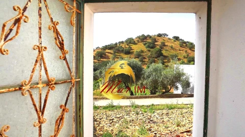 Moradia para Venda em Martim Longo