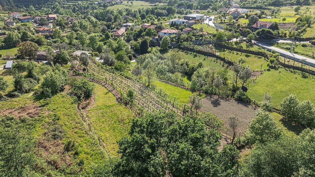 Moradia T3 para Venda em Calvos e Frades Foto 30