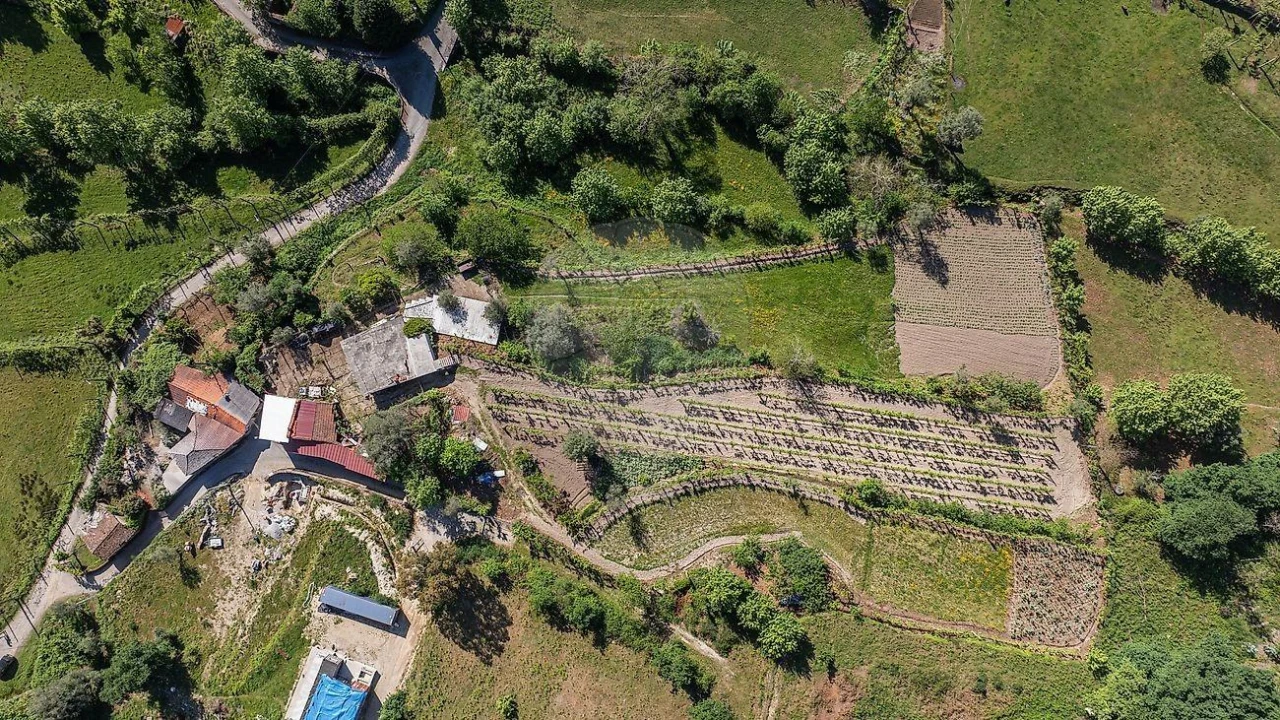 Moradia T3 para Venda em Calvos e Frades Foto 31