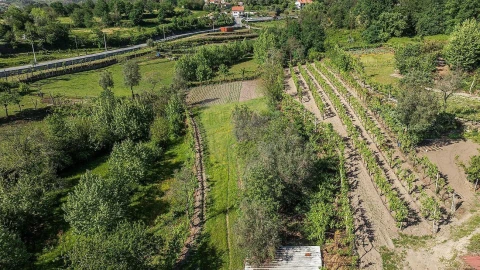 Moradia T3 para Venda em Calvos e Frades