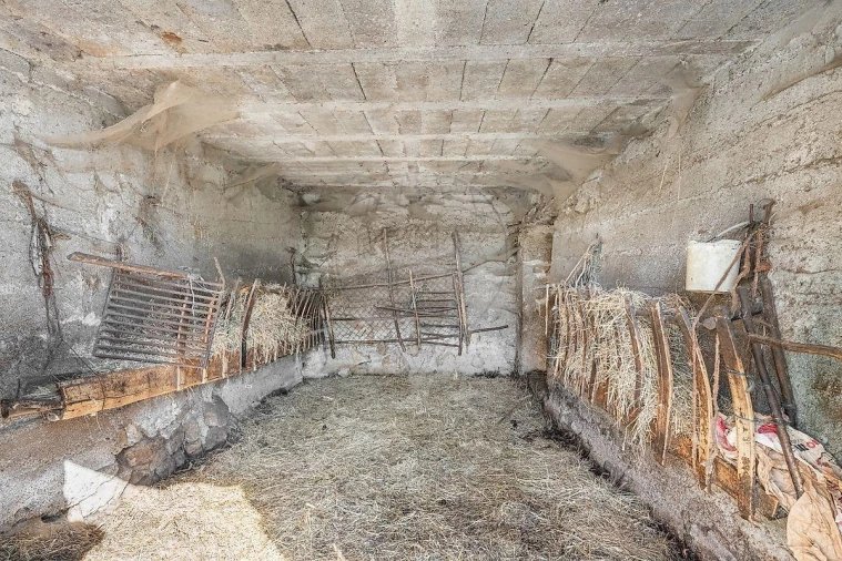 Moradia T3 para Venda em Calvos e Frades Foto 19