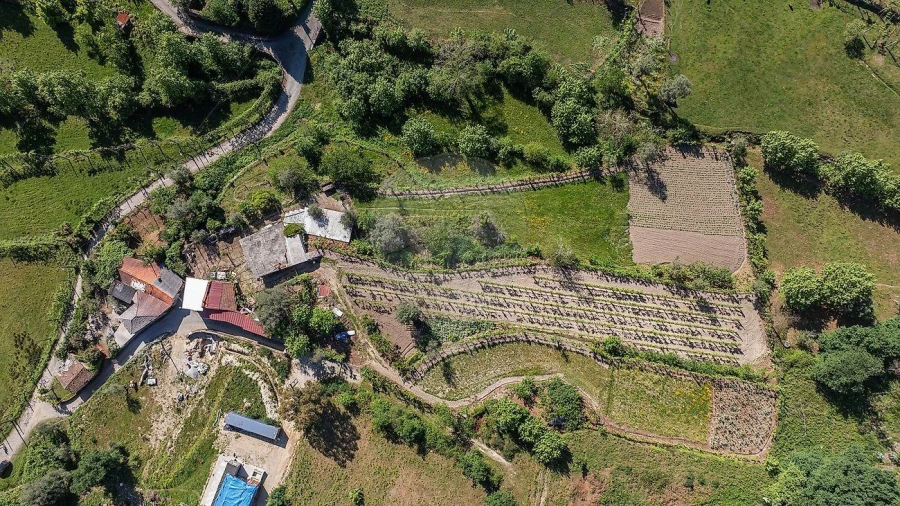 Moradia T3 para Venda em Calvos e Frades Foto 31