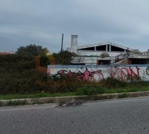 Terreno para Venda em Montijo e Afonsoeiro