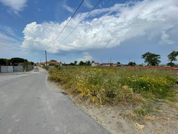 Terreno para Venda em Murtosa