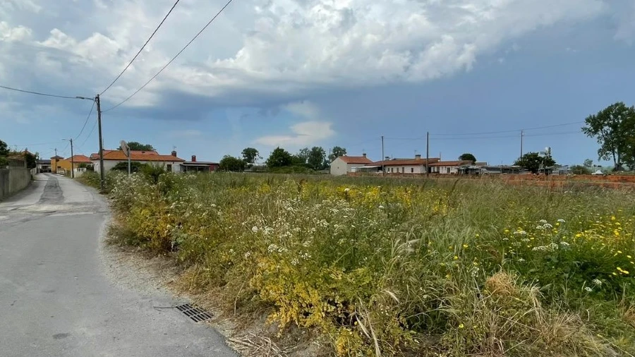 Terreno para Venda em Murtosa
