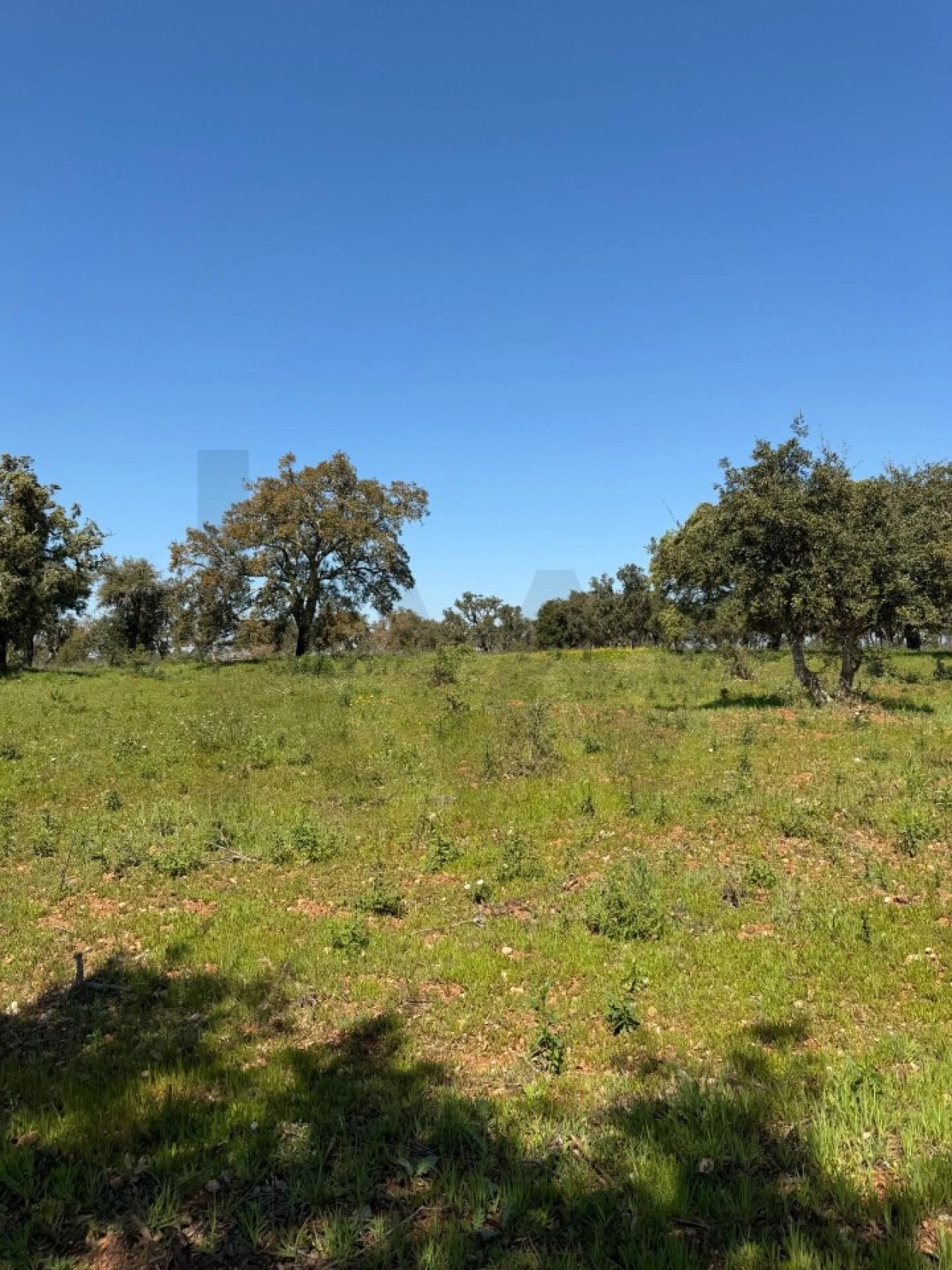 Terreno para Venda em São Domingos e Vale de Água Foto 2