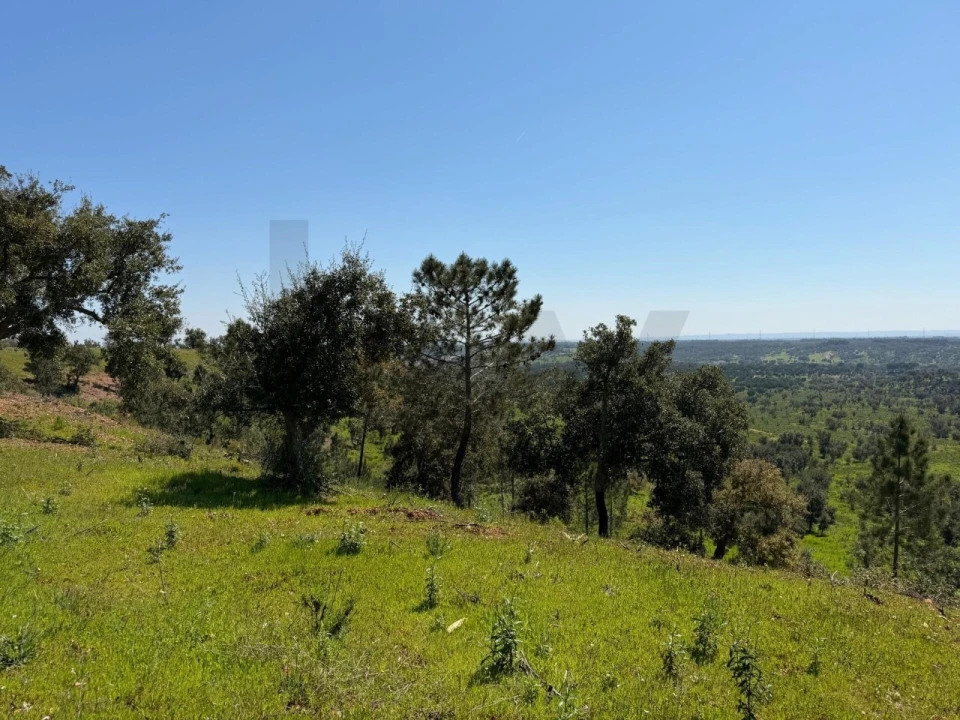 Terreno para Venda em São Domingos e Vale de Água Foto 3