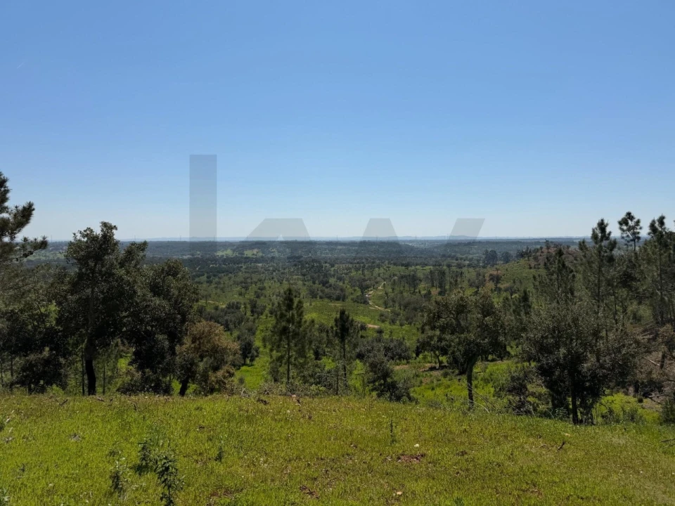 Terreno para Venda em São Domingos e Vale de Água Foto 5