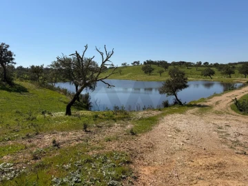 Terreno para Venda em São Domingos e Vale de Água