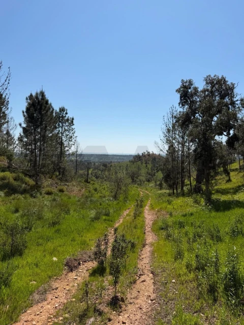 Terreno para Venda em São Domingos e Vale de Água