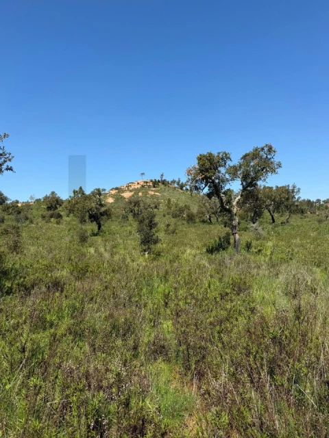 Terreno para Venda em São Domingos e Vale de Água