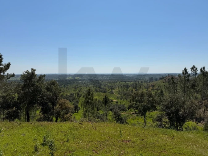 Terreno para Venda em São Domingos e Vale de Água Foto 5