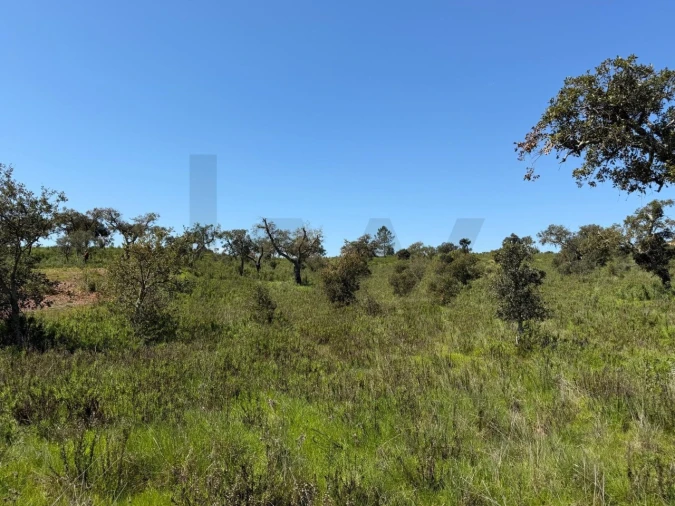 Terreno para Venda em São Domingos e Vale de Água Foto 10