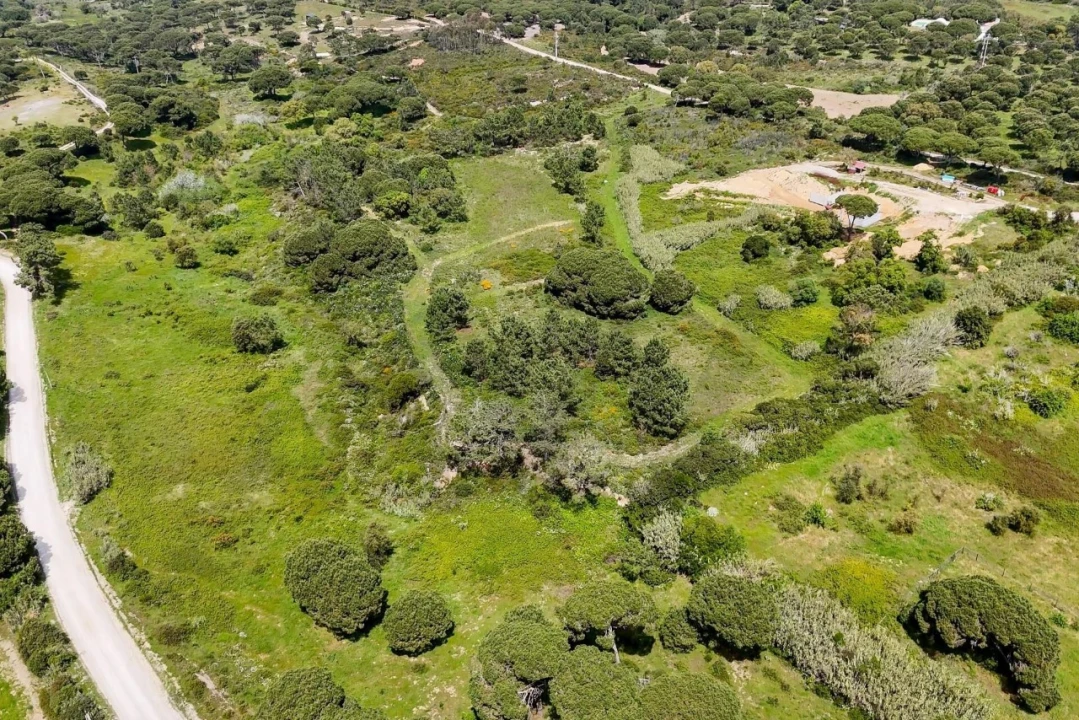Terreno para Venda em Sesimbra (Castelo) Foto 11
