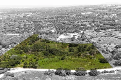 Terreno para Venda em Sesimbra (Castelo)