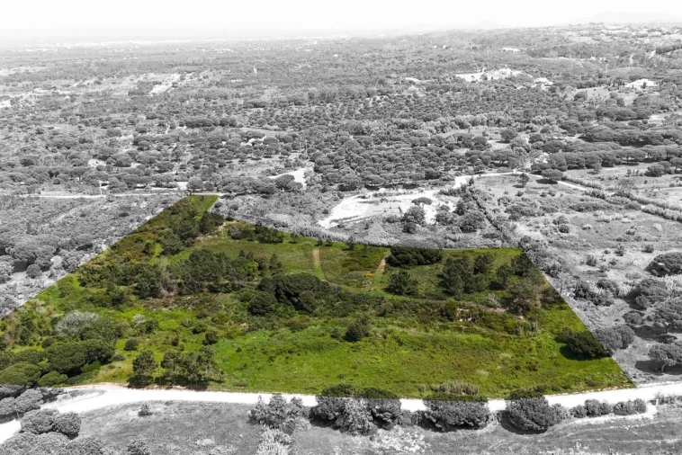 Terreno para Venda em Sesimbra (Castelo) Foto 4