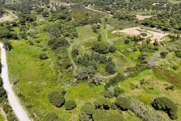 Terreno para Venda em Sesimbra (Castelo) Foto 11