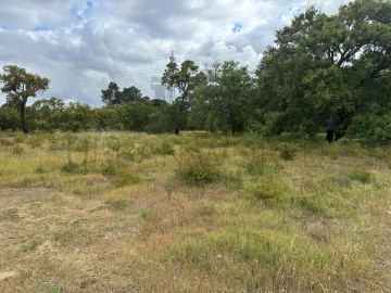 Terreno Comércio / Armazém para Venda em Palmela