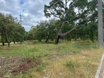 Terreno Comércio / Armazém para Venda em Palmela