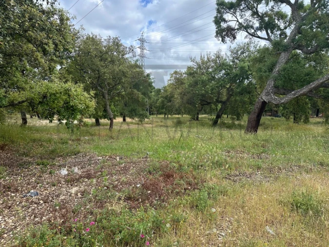 Terreno Comércio / Armazém para Venda em Palmela Foto 5