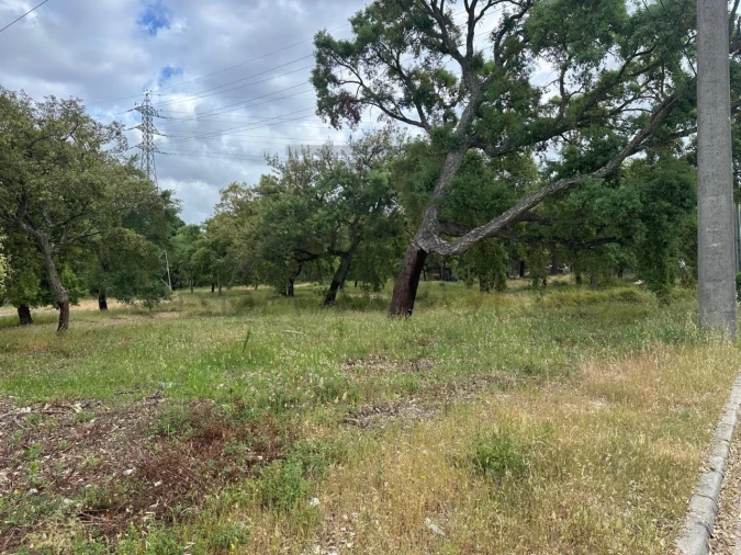 Terreno Comércio / Armazém para Venda em Palmela Foto 6