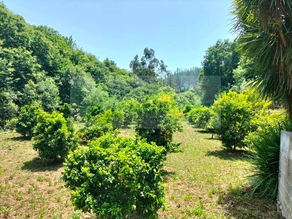 Terreno para Venda em Couto de Esteves Foto 2