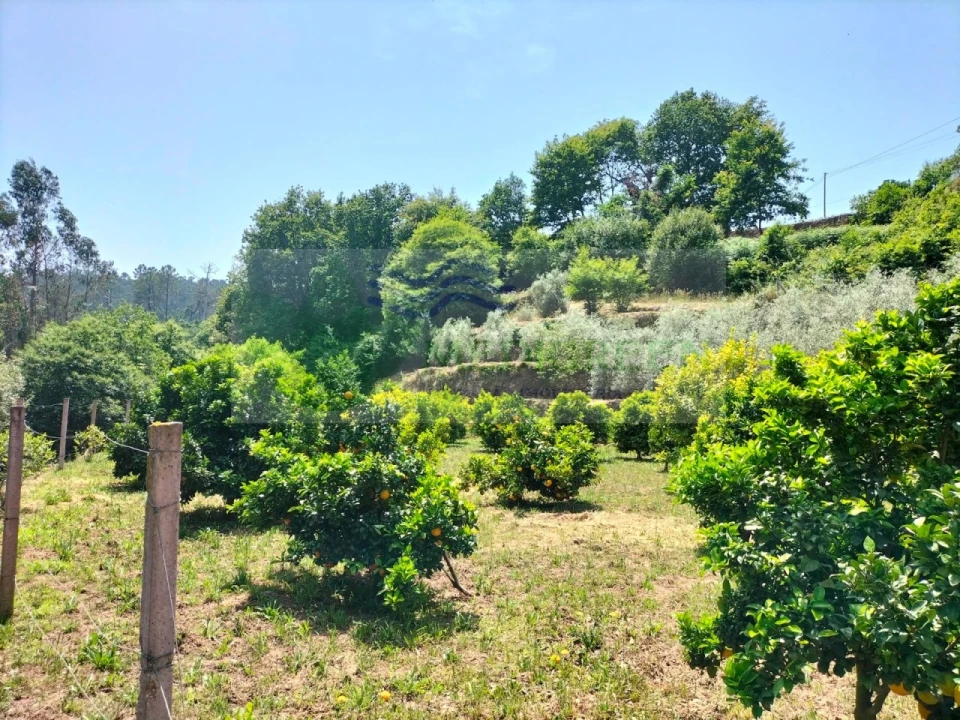 Terreno para Venda em Couto de Esteves Foto 1