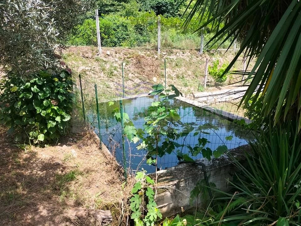 Terreno para Venda em Couto de Esteves Foto 5