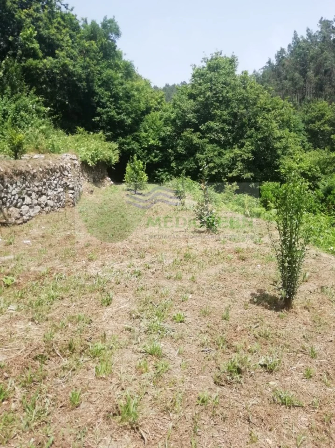 Terreno para Venda em Couto de Esteves Foto 9
