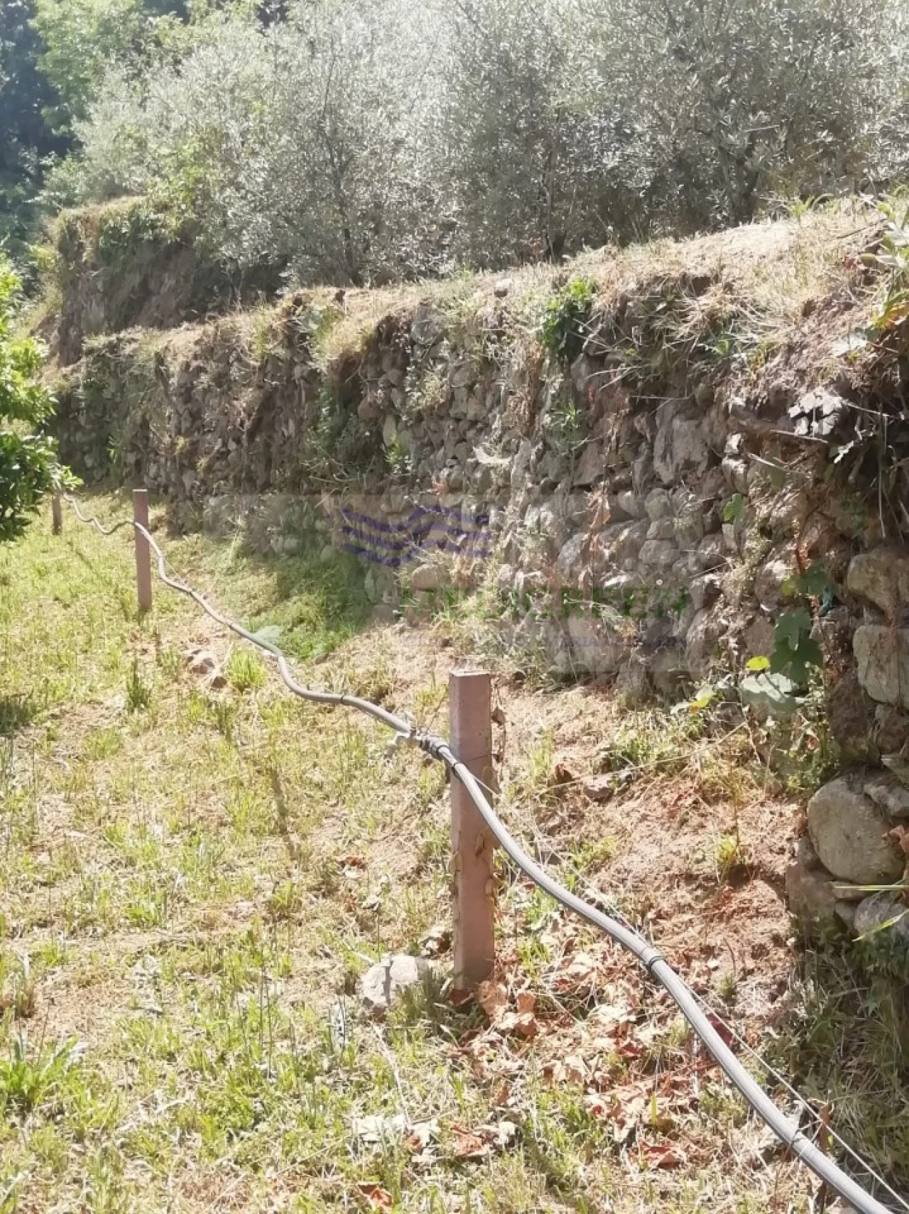 Terreno para Venda em Couto de Esteves Foto 15