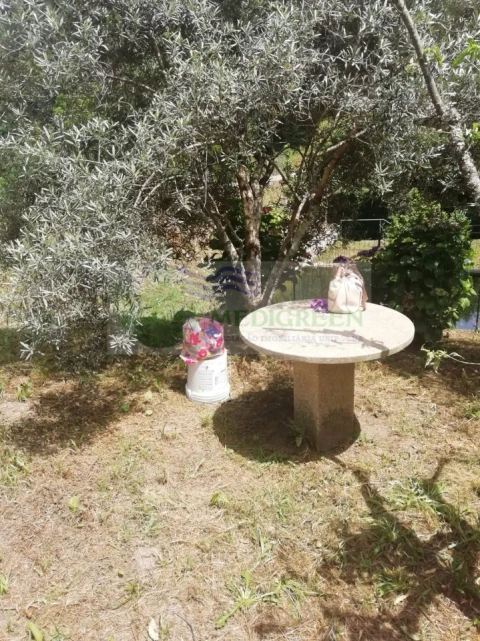 Terreno para Venda em Couto de Esteves