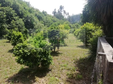 Terreno para Venda em Couto de Esteves