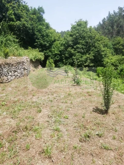 Terreno para Venda em Couto de Esteves