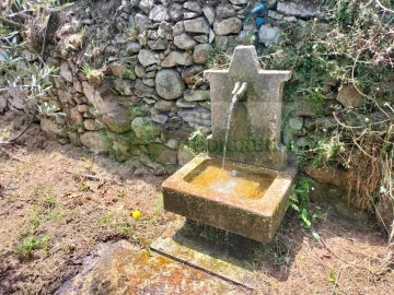 Terreno para Venda em Couto de Esteves
