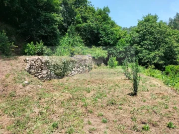 Terreno para Venda em Couto de Esteves