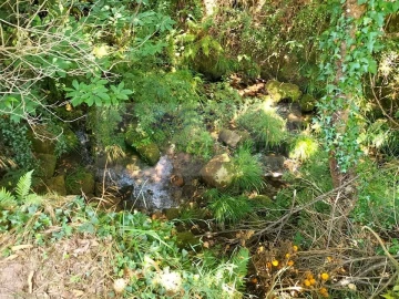 Terreno para Venda em Couto de Esteves