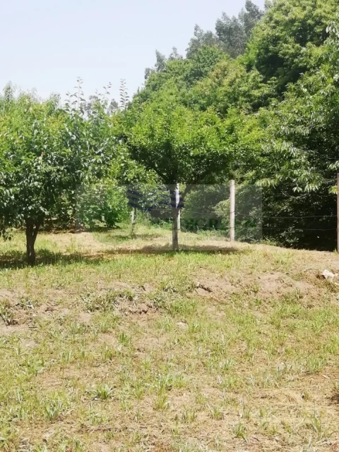 Terreno para Venda em Couto de Esteves
