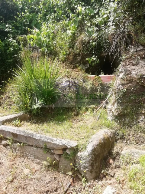 Terreno para Venda em Couto de Esteves