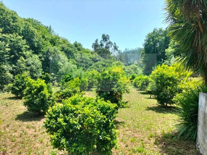 Terreno para Venda em Couto de Esteves Foto 2