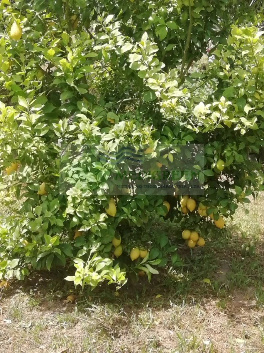 Terreno para Venda em Couto de Esteves Foto 7