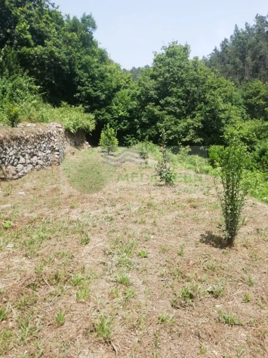 Terreno para Venda em Couto de Esteves Foto 9
