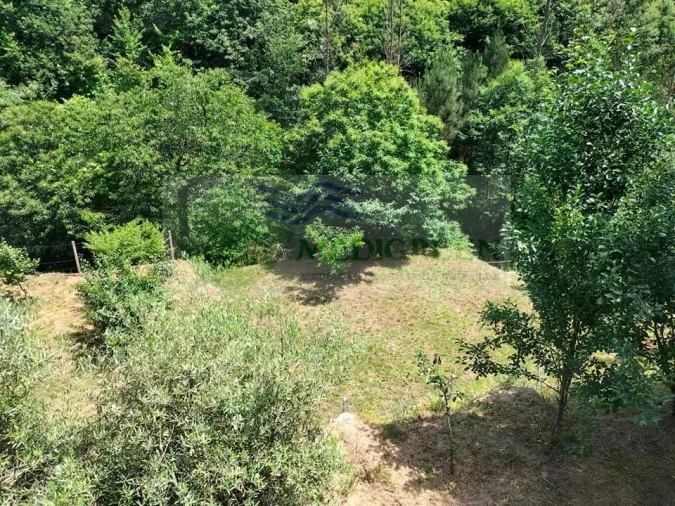 Terreno para Venda em Couto de Esteves Foto 10