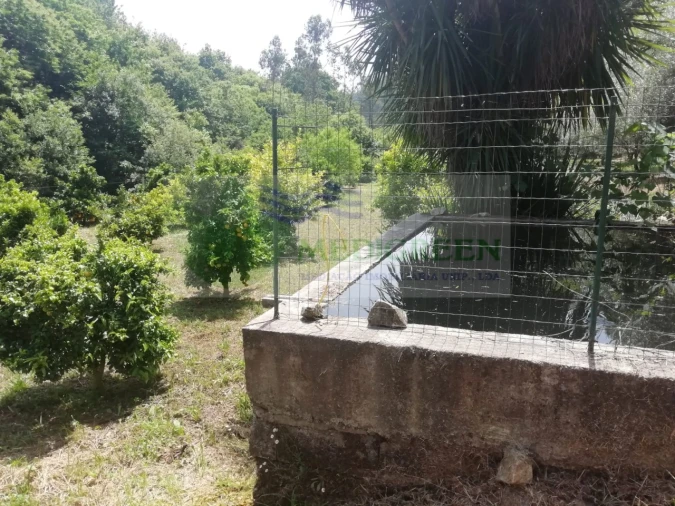 Terreno para Venda em Couto de Esteves Foto 17