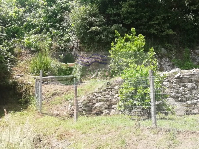 Terreno para Venda em Couto de Esteves Foto 20