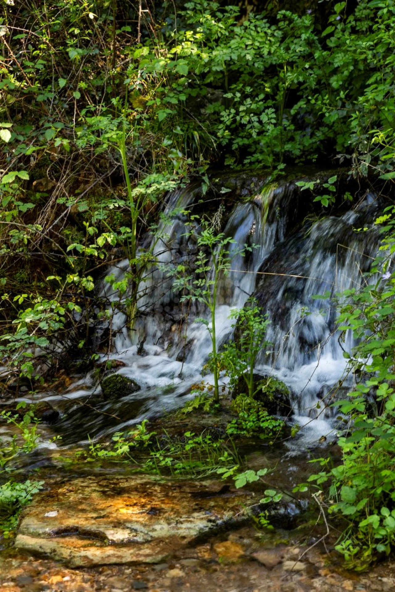 Moradia T3 para Venda em Querença, Tôr e Benafim Foto 27