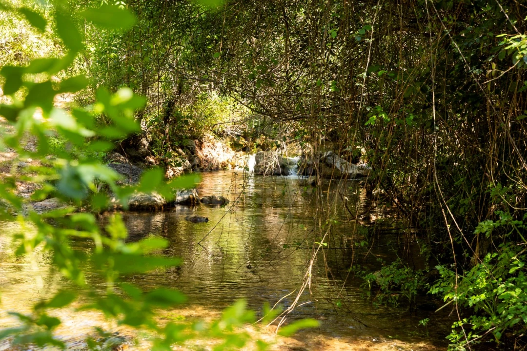 Moradia T3 para Venda em Querença, Tôr e Benafim Foto 28