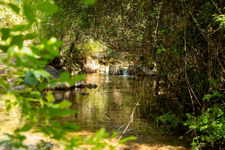 Moradia T3 para Venda em Querença, Tôr e Benafim Foto 28