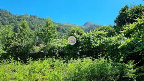 Quinta T1 para Venda em Moldes